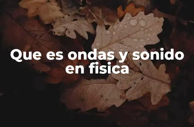Que es Ondas y Sonido en Fisica