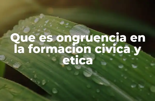 Que es Ongruencia en la Formacion Civica y Etica