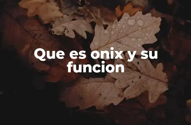Que es Onix y Su Funcion