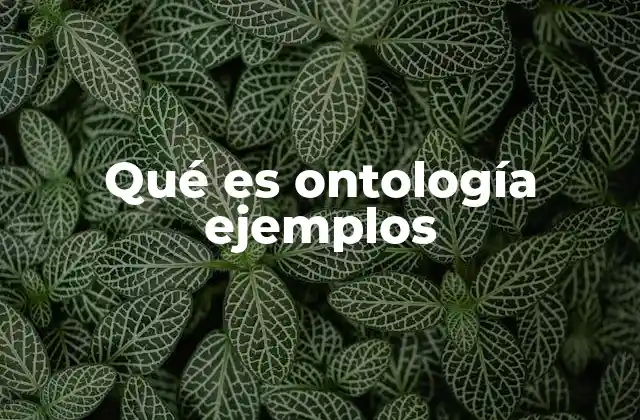 Qué es Ontología Ejemplos