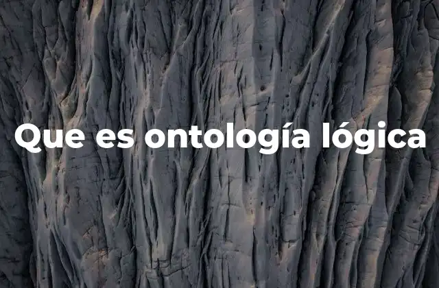 Que es Ontología Lógica