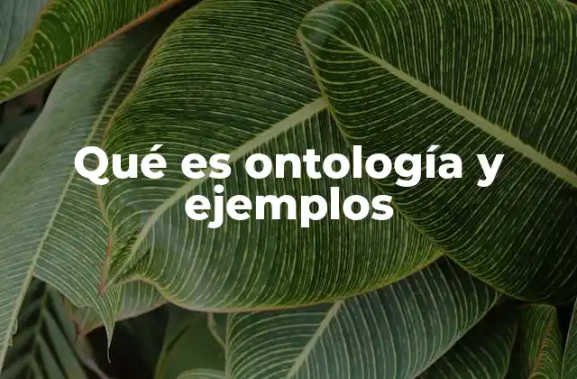 Qué es Ontología y Ejemplos