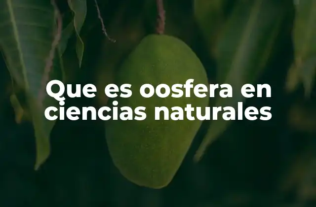 Que es Oosfera en Ciencias Naturales
