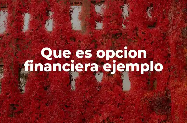 Que es Opcion Financiera Ejemplo 2 Tipos de opciones y su función en el mercado