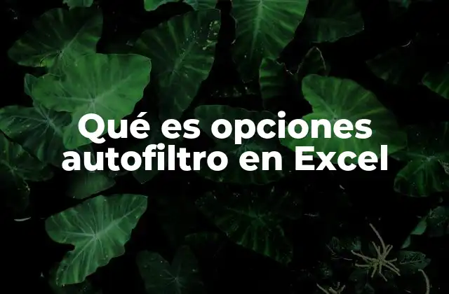 Qué es Opciones Autofiltro en Excel