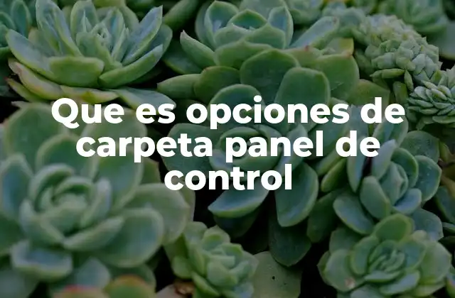Cómo acceder a las opciones de carpeta desde el Panel de Control