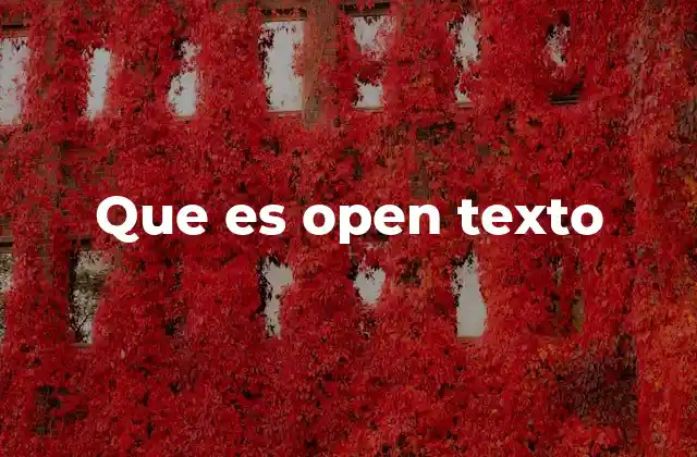 Que es Open Texto
