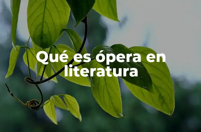 Qué es Ópera en Literatura