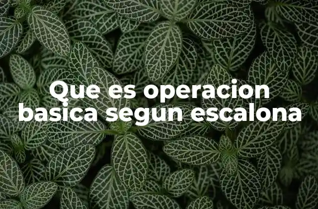 Que es Operacion Basica Segun Escalona