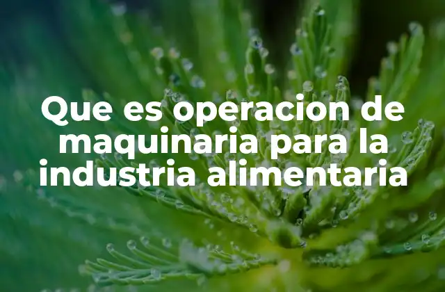 Que es Operacion de Maquinaria para la Industria Alimentaria