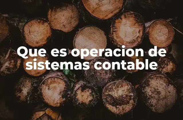 Que es Operacion de Sistemas Contable