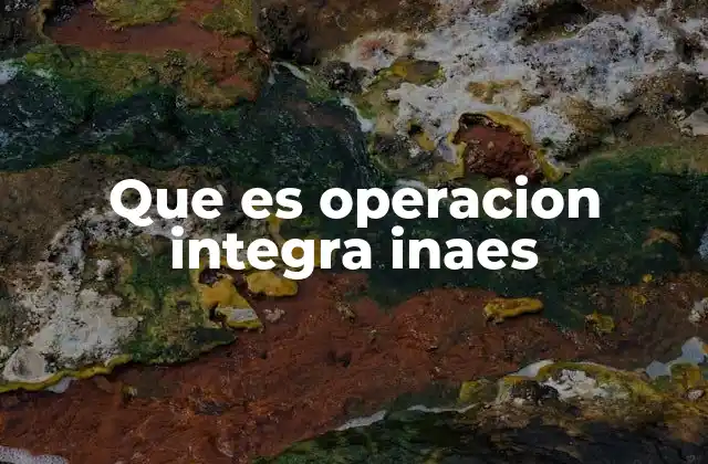 Que es Operacion Integra Inaes