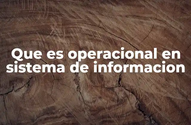 Que es Operacional en Sistema de Informacion