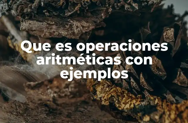 Que es Operaciones Aritméticas con Ejemplos