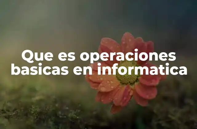Que es Operaciones Basicas en Informatica