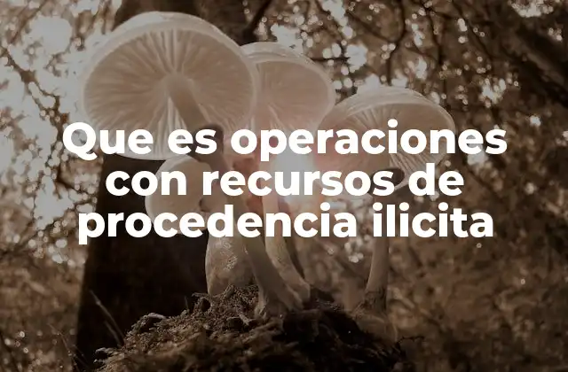 Que es Operaciones con Recursos de Procedencia Ilicita