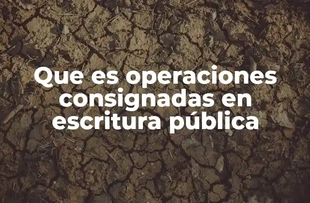 Que es Operaciones Consignadas en Escritura Pública