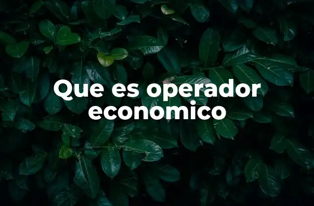 Que es Operador Economico
