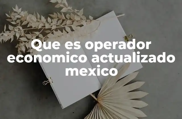 El papel de los operadores económicos en el sistema financiero mexicano