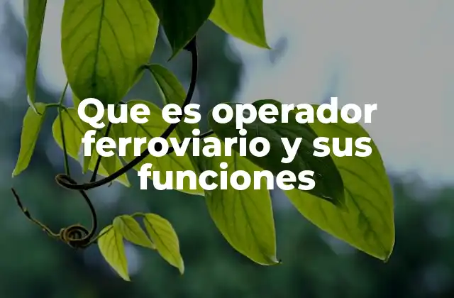 Que es Operador Ferroviario y Sus Funciones