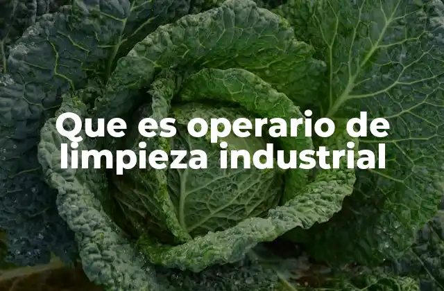 Que es Operario de Limpieza Industrial