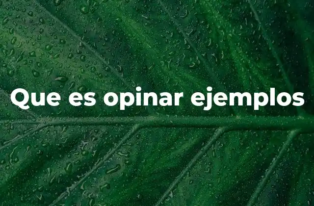 Que es Opinar Ejemplos