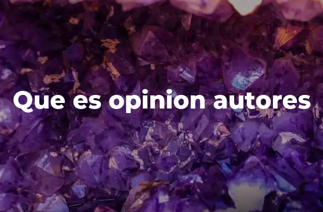 Que es Opinion Autores