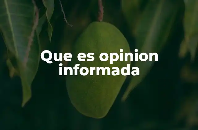 Que es Opinion Informada