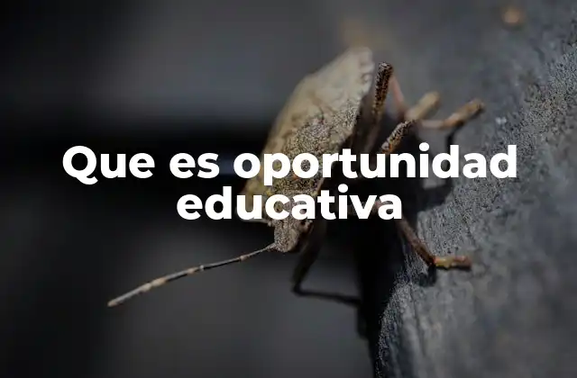 Que es Oportunidad Educativa