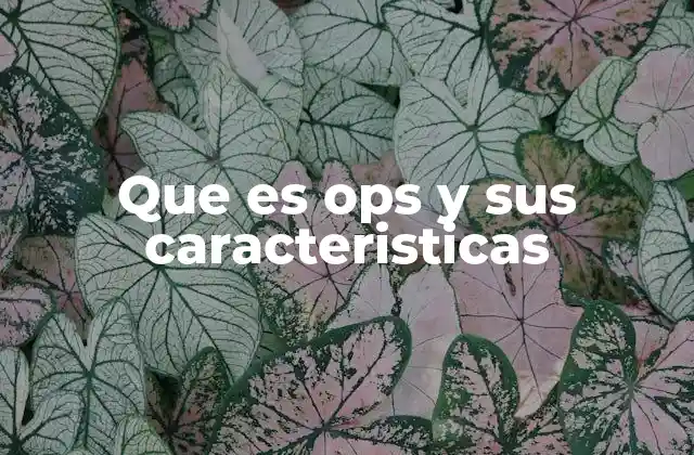 Que es Ops y Sus Caracteristicas