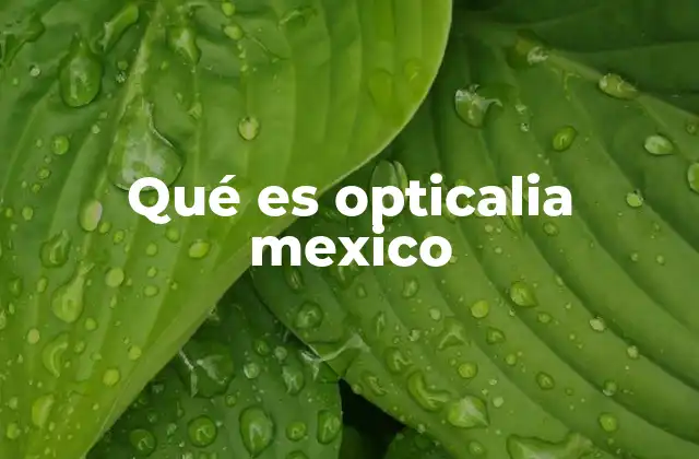 Opticalia en el contexto de la salud visual en México