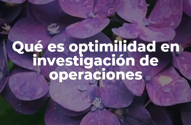 Qué es Optimilidad en Investigación de Operaciones