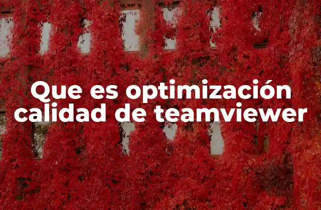 Que es Optimización Calidad de Teamviewer