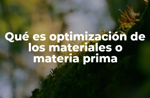 Qué es Optimización de los Materiales o Materia Prima