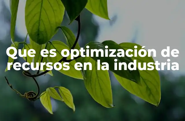 Que es Optimización de Recursos en la Industria
