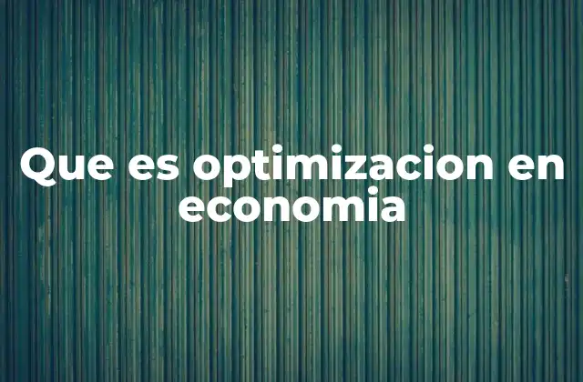 Que es Optimizacion en Economia