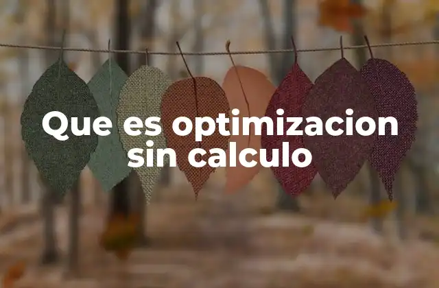 Que es Optimizacion sin Calculo
