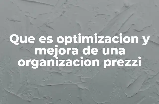 Que es Optimizacion y Mejora de una Organizacion Prezzi