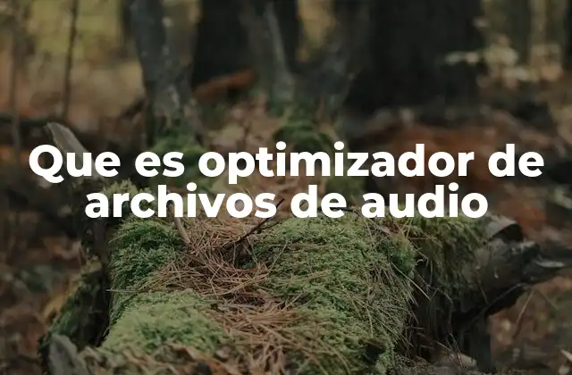 Que es Optimizador de Archivos de Audio