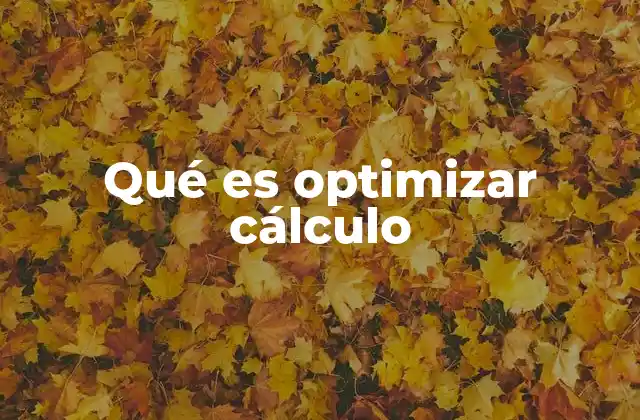 El papel de la optimización en la toma de decisiones