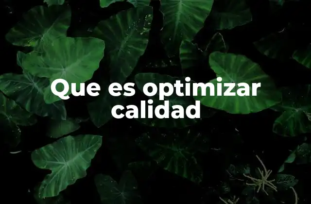 Que es Optimizar Calidad