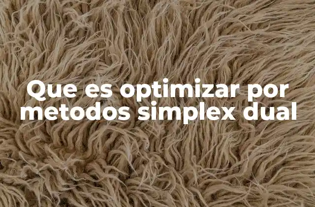Que es Optimizar por Metodos Simplex Dual