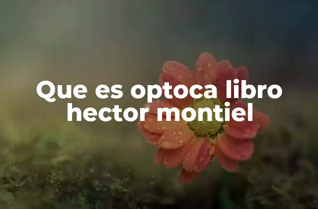 La luz como símbolo en la obra de Héctor Montiel