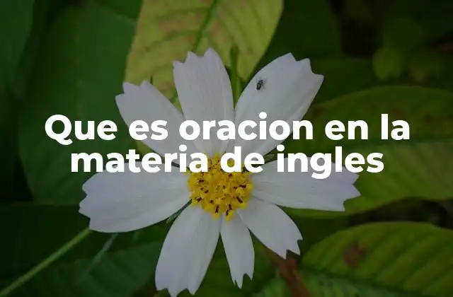 Que es Oracion en la Materia de Ingles
