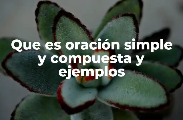 Que es Oración Simple y Compuesta y Ejemplos