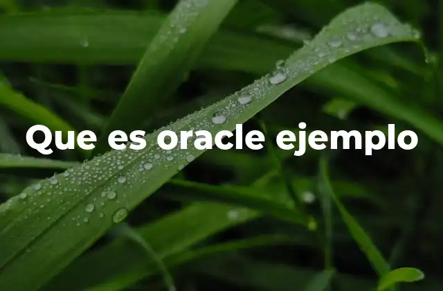 Que es Oracle Ejemplo