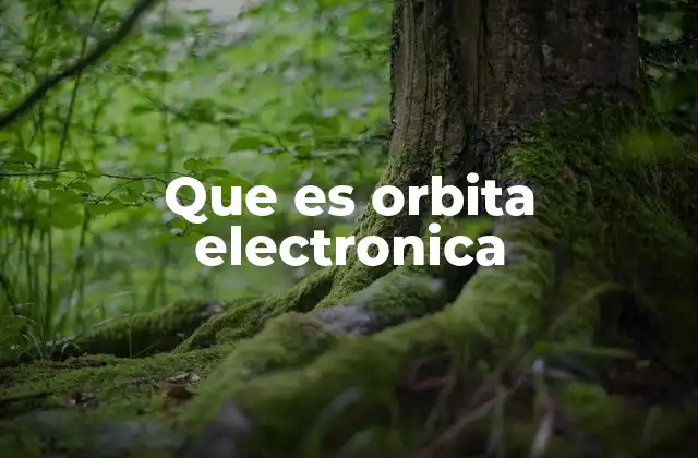 Que es Orbita Electronica