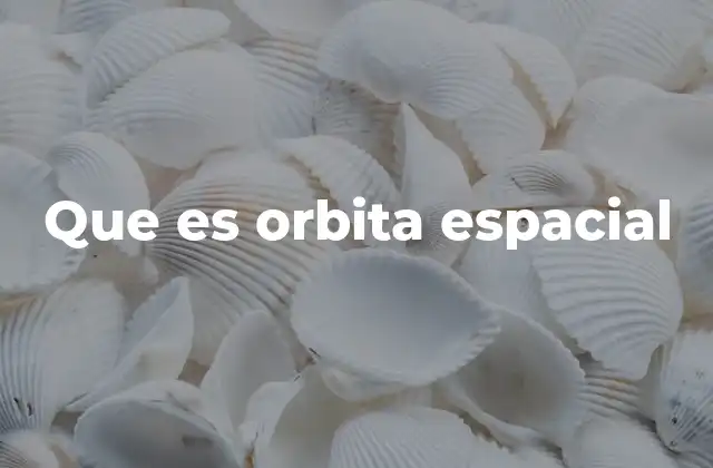 Que es Orbita Espacial