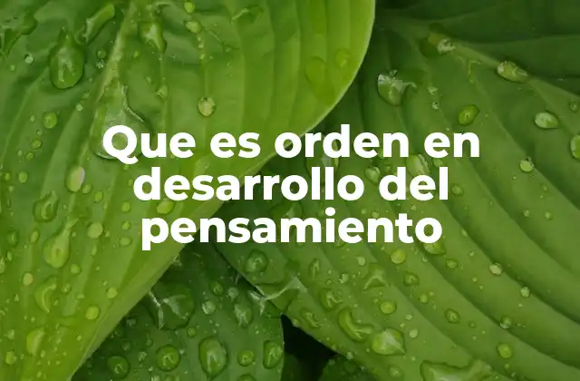La importancia del orden en la cognición humana