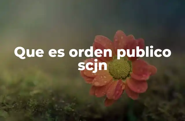 Que es Orden Publico Scjn